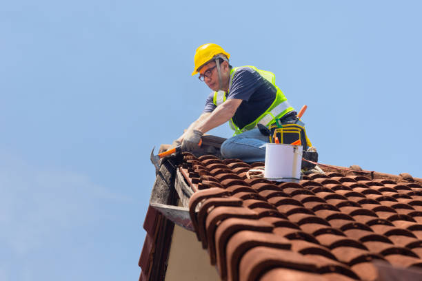 Best Commercial Roofing Services  in Shepherd, TX